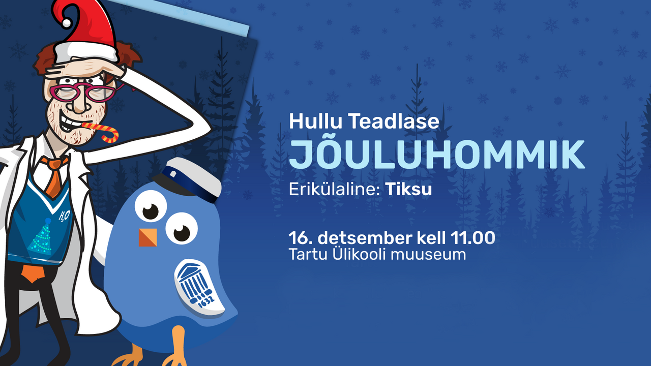 Hullu Teadlase jõuluhommik_2023